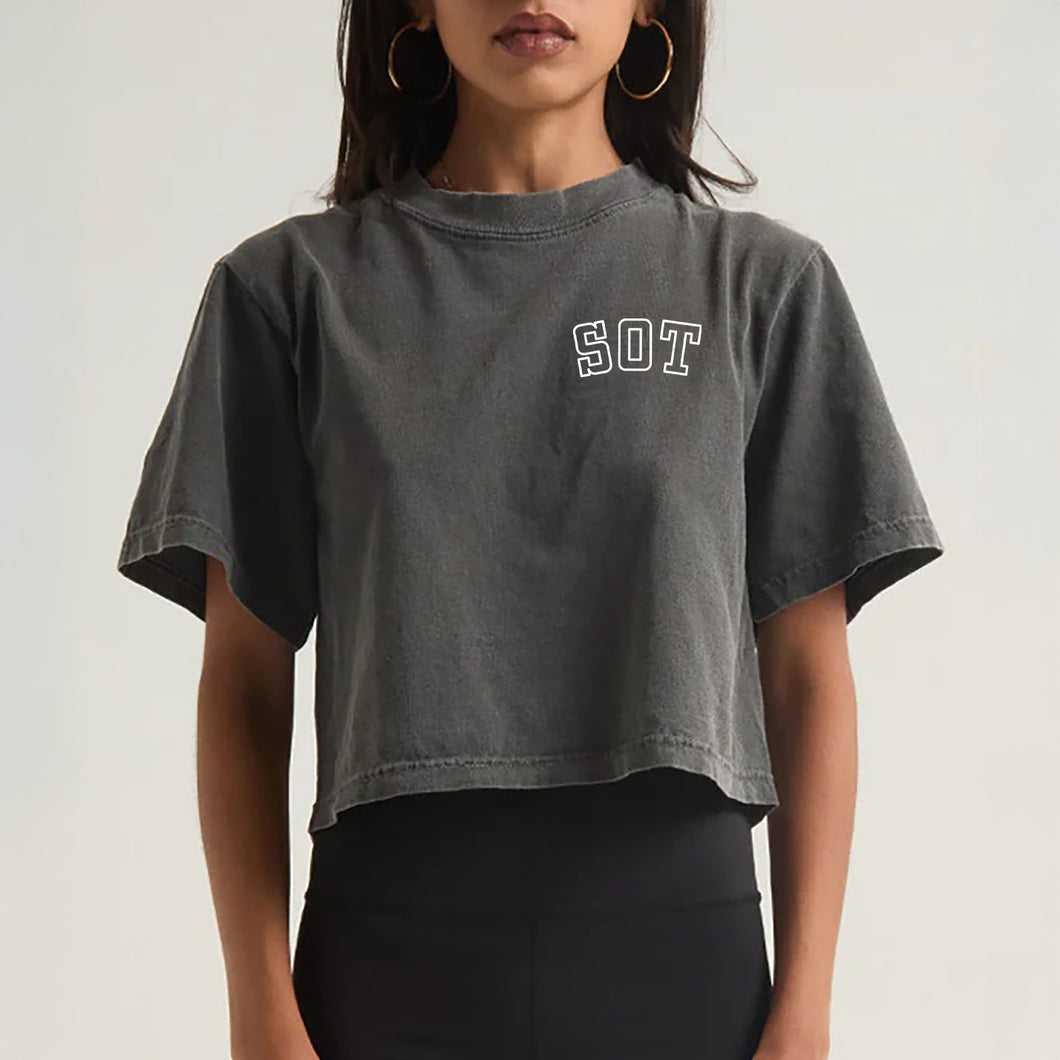 Breath Water Mantra Crop T-Shirt